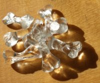 Translucent: Casting The Bones