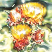 The Aromatherapy For Your Soul Collection (+ Bless The Garden Video)