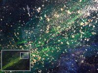 The Grand Universal Procession