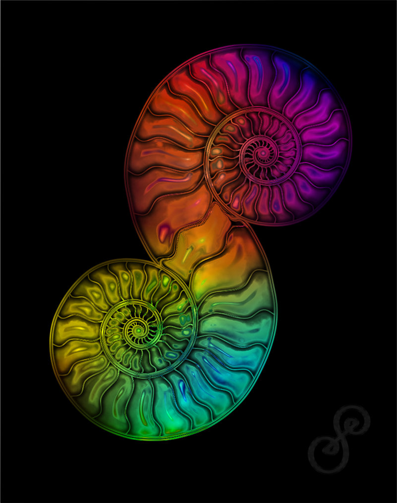 AmmonitS - two ammonites connect to form an S