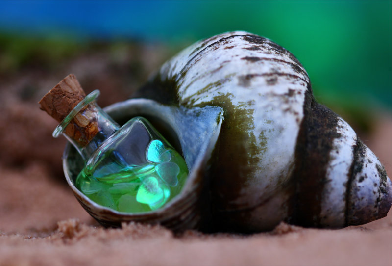 Love Potion In A Sea Shell (on a sea shore)